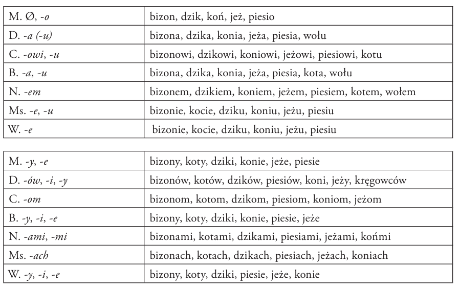 końcówki czasowników męskich żywotnych