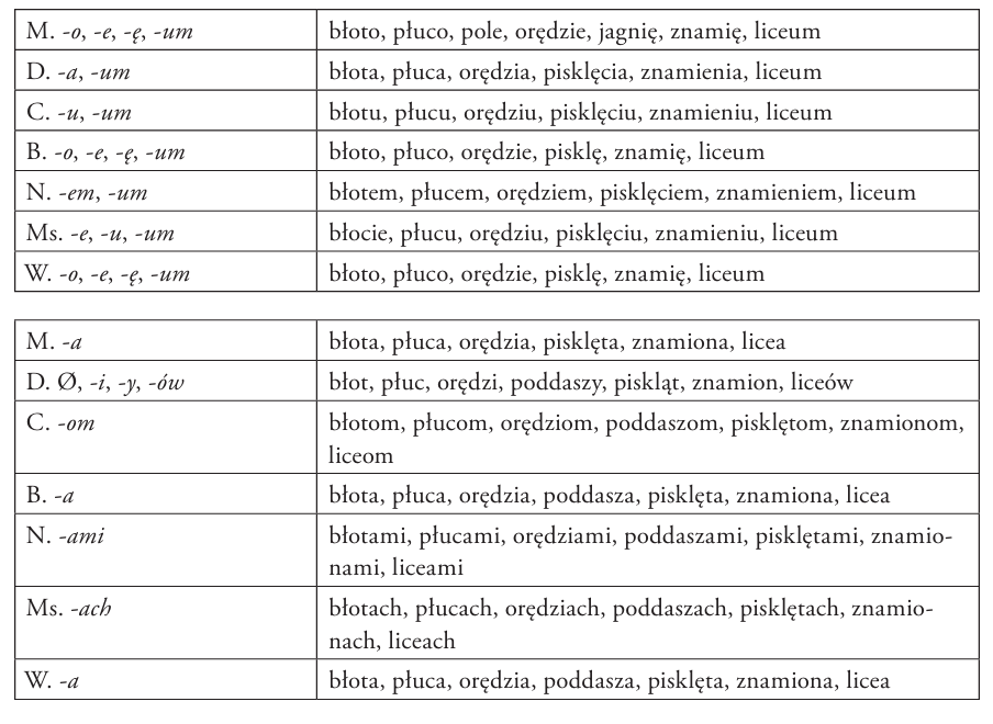 koncówki odmiany rzeczowników w rodzaju nijakim